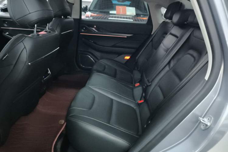 Used Lincoln Z 2022 iEnjoy Luxury Edition Left Rear Seat