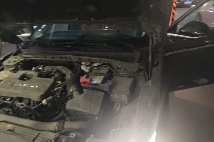 Used Lincoln Z 2022 iXiang Luxury Edition Engine Bay Left