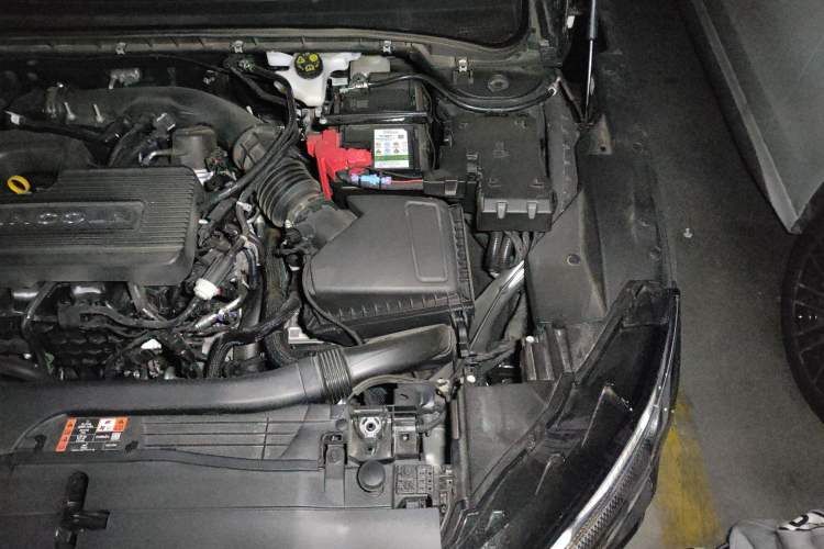 Used Lincoln Z 2022 iCool Luxury Edition Engine Bay Left