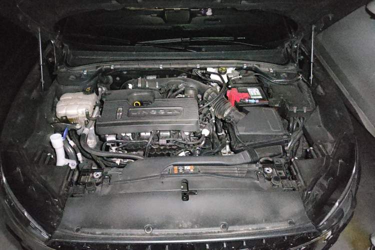 Used Lincoln Z 2022 iCool Luxury Edition Engine Bay