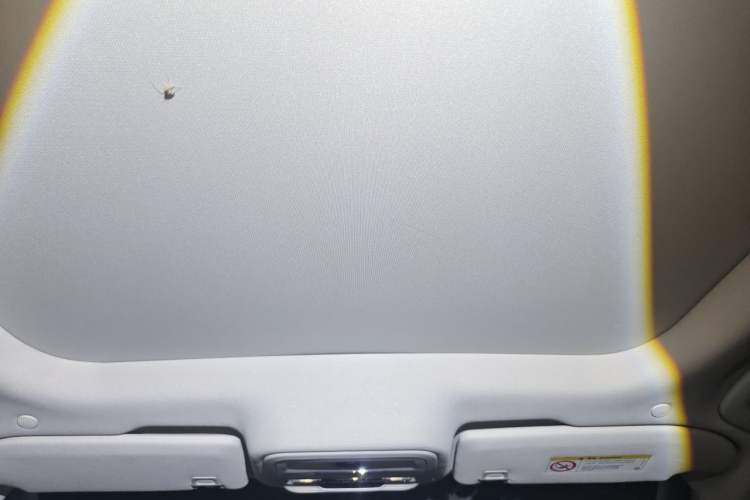Used Lincoln Z 2022 iKoo Deluxe Edition Headliner