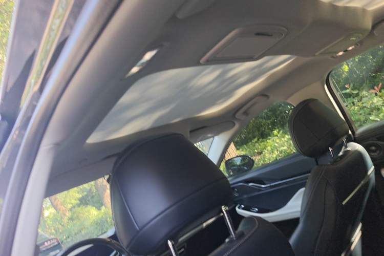Used Lincoln Z 2022 iKoo Luxury Edition Headliner