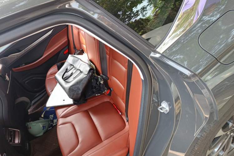 Used Lincoln Z 2022 iXiang Luxury Edition Left Rear Seat