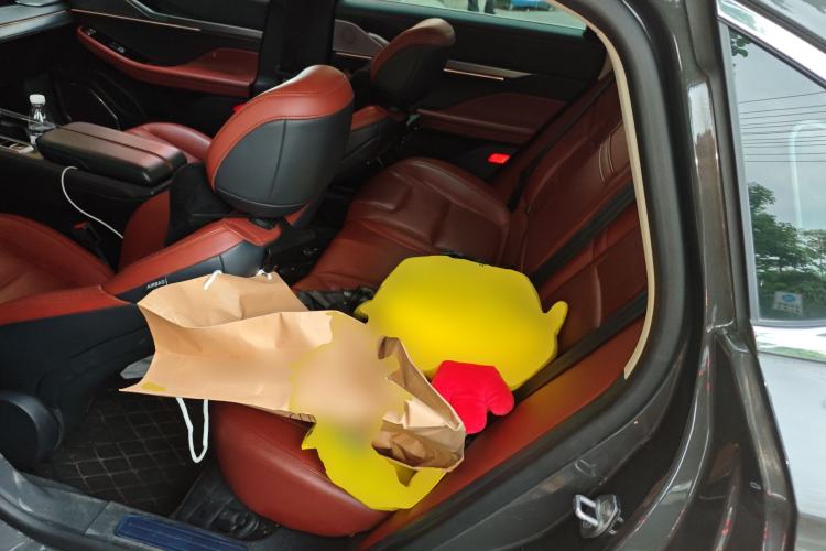 Used Lincoln Z 2022 iXiang Luxury Edition Left Rear Seat
