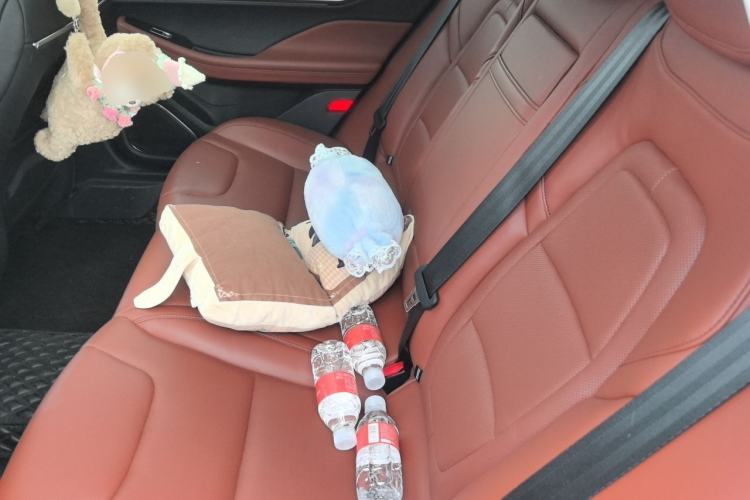 Used Lincoln Z 2022 iXiang Luxury Edition Left Rear Seat