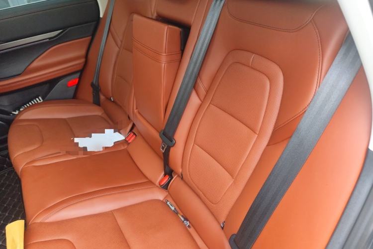 Used Lincoln Z 2022 iEnjoy Luxury Edition Left Rear Seat