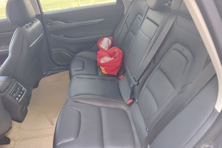 Used Lincoln Z 2022 iEnjoy Luxury Edition Left Rear Seat