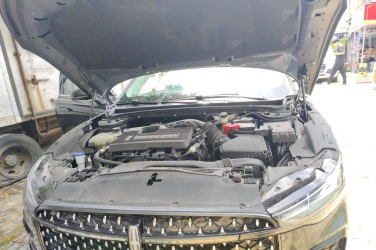 Used Lincoln Z 2022 iKoo Luxury Edition Engine Bay