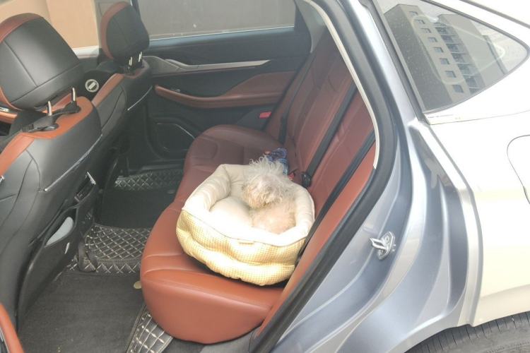 Used Lincoln Z 2022 iXiang Luxury Edition Left Rear Seat