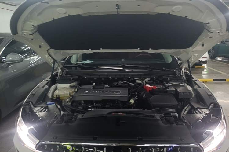 Used Lincoln Z 2022 Facelift iEnjoy Deluxe Edition Engine Bay