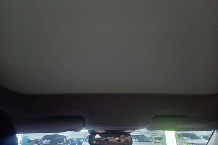 Used Lincoln Z 2022 Facelift iEnjoy Deluxe Edition Headliner