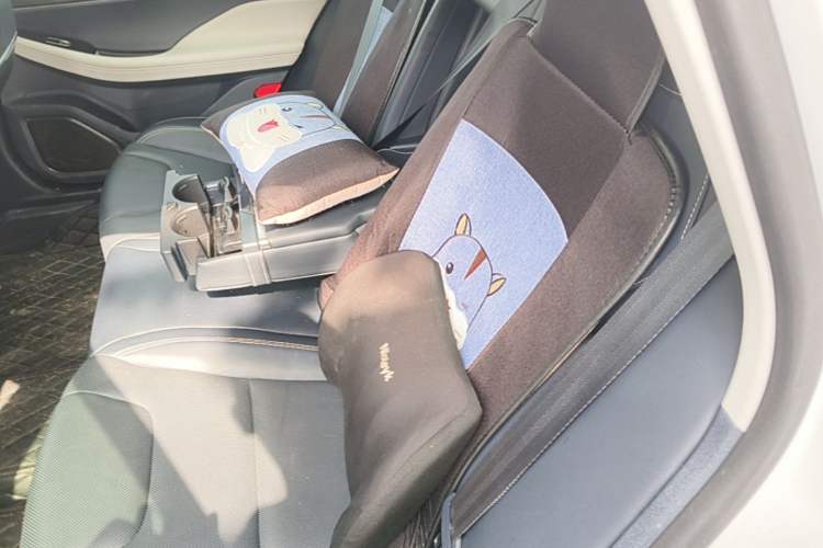 Used Lincoln Z 2022 iKoo Luxury Edition Left Rear Seat
