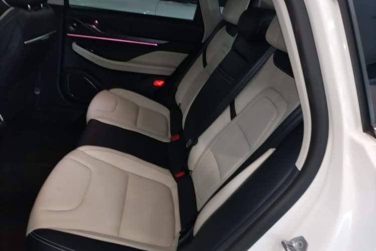 Used Lincoln Z 2022 iEnjoy Luxury Edition Left Rear Seat