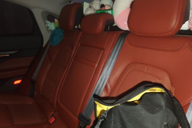 Used Lincoln Z 2024 2.0T Luxury Edition Left Rear Seat