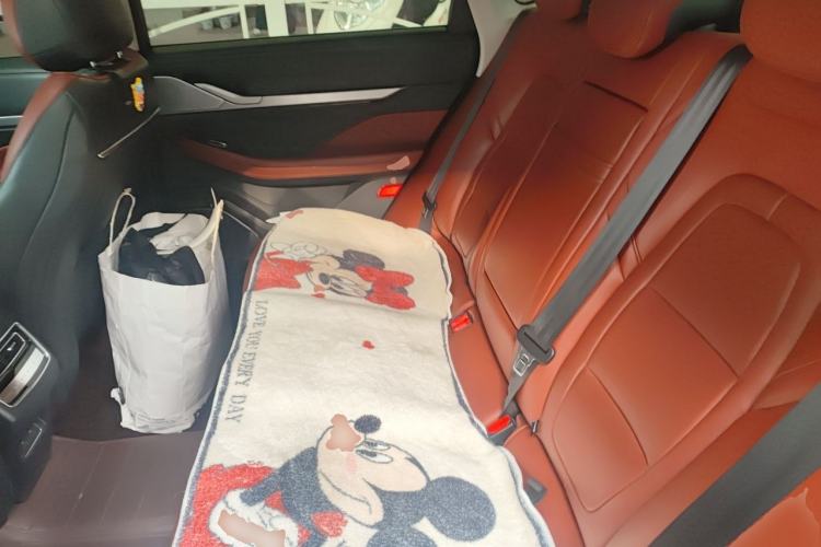 Used Lincoln Z 2024 2.0T Prestige Edition Left Rear Seat