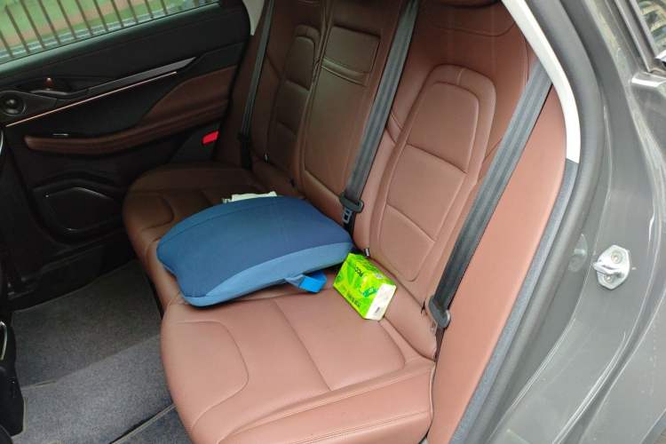 Used Lincoln Z 2024 2.0T Two-Wheel Drive Luxury Hybrid Version Left Rear Seat