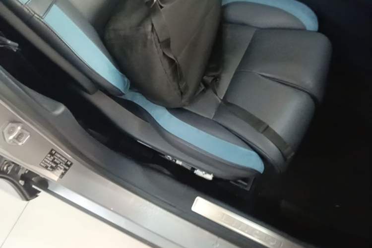 Used Lincoln Z 2024 2.0T Two-Wheel Drive Luxury Hybrid Version Right Front Seat
