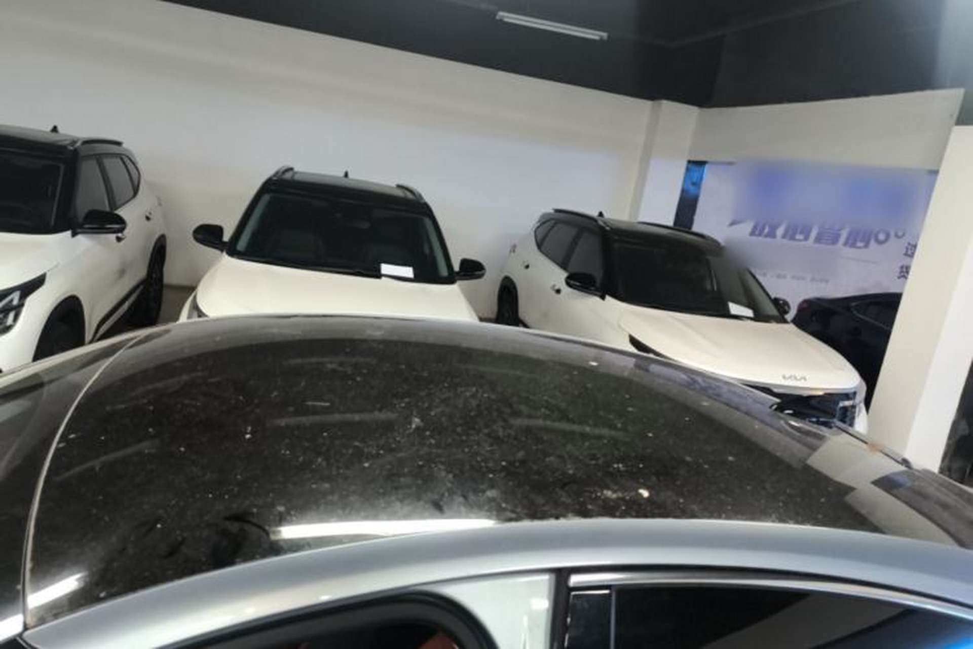 Used Lincoln Z 2025 2.0T Prestige Edition Roof