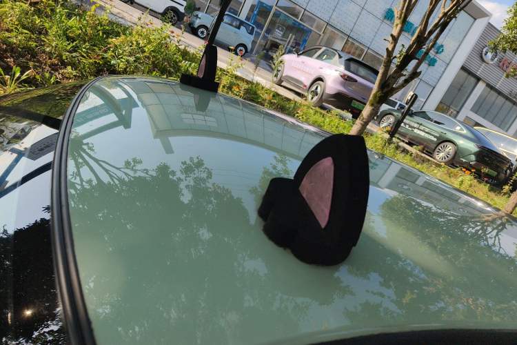 Used LINGBOX 2022 ZHUOWENJUN Edition Roof