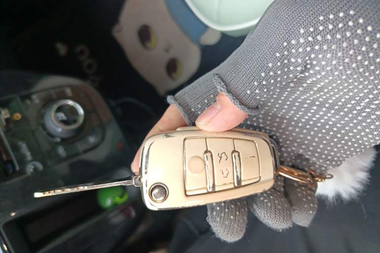 Used LINGBOX 2021 – Cai Wenji Edition Vehicle Key