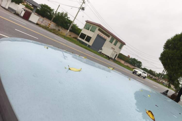 Used LINGBOX 2021 – Lady Wanyan Edition Roof