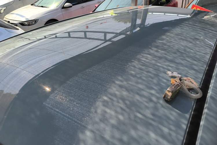 Used LINGBOX 2021 Comfort Edition Roof