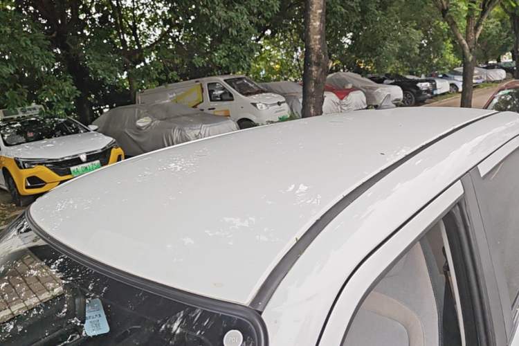 Used LINGBOX 2021 Wang Zhaojun Edition Roof