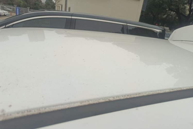 Used LINGBOX 2021 – Lady Wanyan Edition Roof