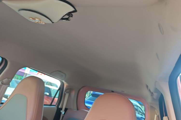 Used LINGBOX 2022 Cai Wenji Pro Edition Headliner
