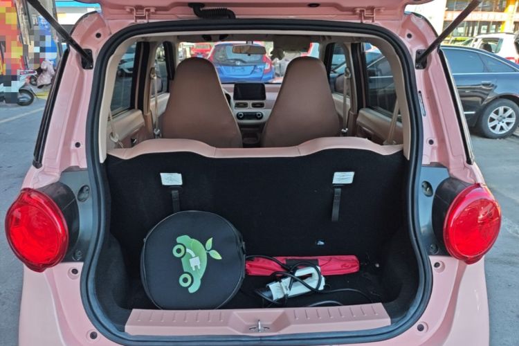 Used LINGBOX 2022 Cai Wenji Pro Edition Trunk
