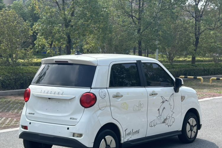 Used LINGBOX 2022 ZHUOWENJUN Edition Exterior 10