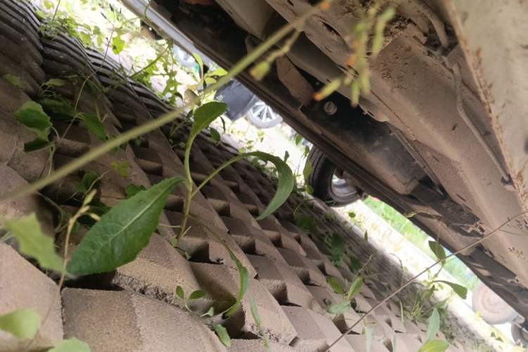 Used LINGBOX 2023 – Cai Wenji Edition Chassis Front Left
