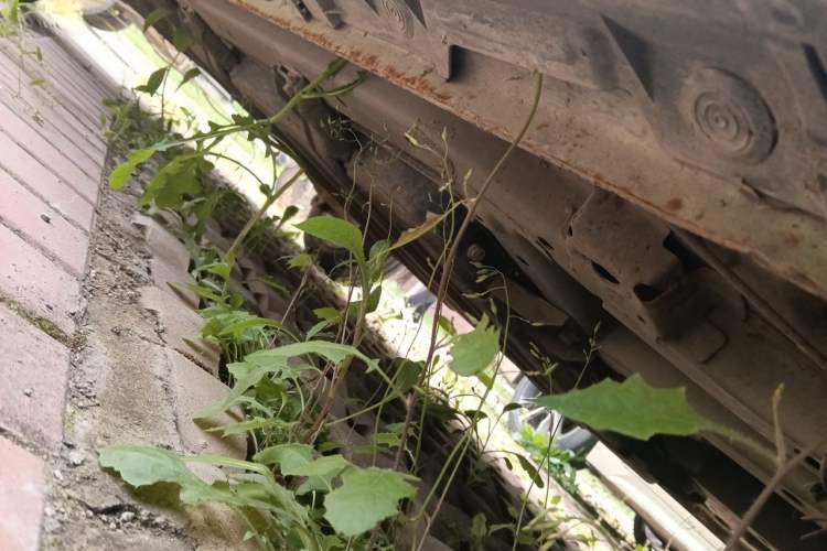 Used LINGBOX 2023 – Cai Wenji Edition Chassis Front Right