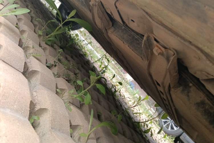 Used LINGBOX 2023 – Cai Wenji Edition Chassis Rear Left