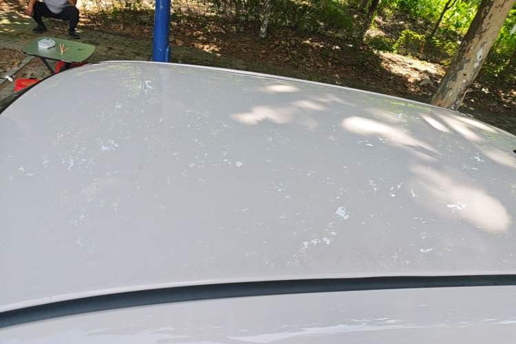 Used LINGBOX 2023 Cai Wenji - Smart Enjoyment Edition Roof