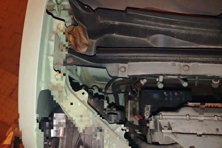 Used LINGBOX uni 2022 Ultra-Sweet Edition Engine Bay Right