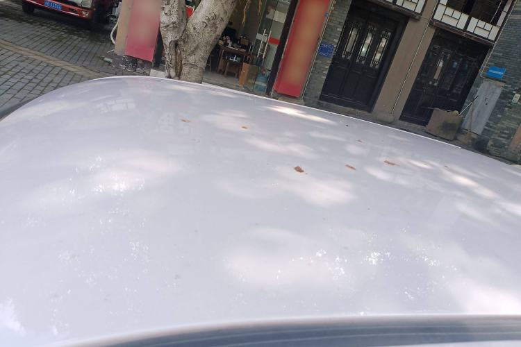Used LINGBOX uni 2022 Mildly Sweet Edition Roof