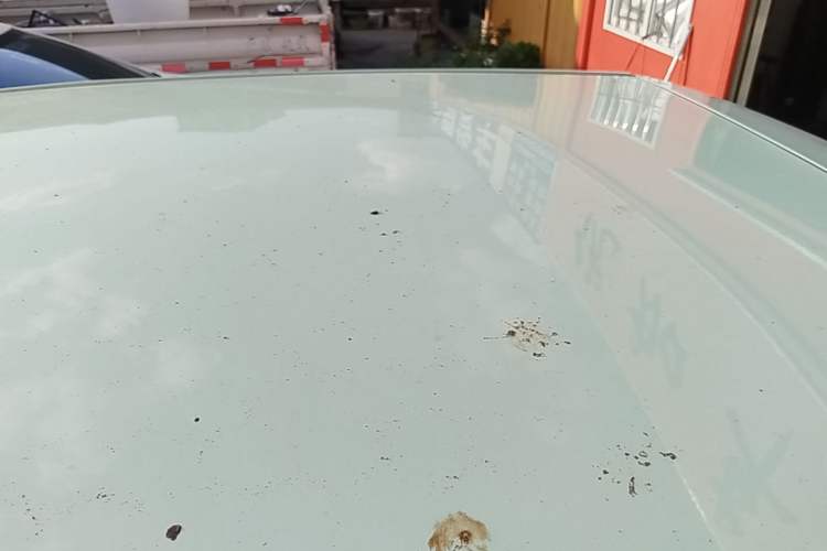 Used LINGBOX uni 2022 Mildly Sweet Edition Roof