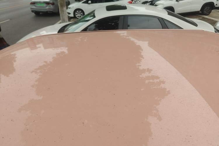 Used LINGBOX uni 2022 Mildly Sweet Edition Roof