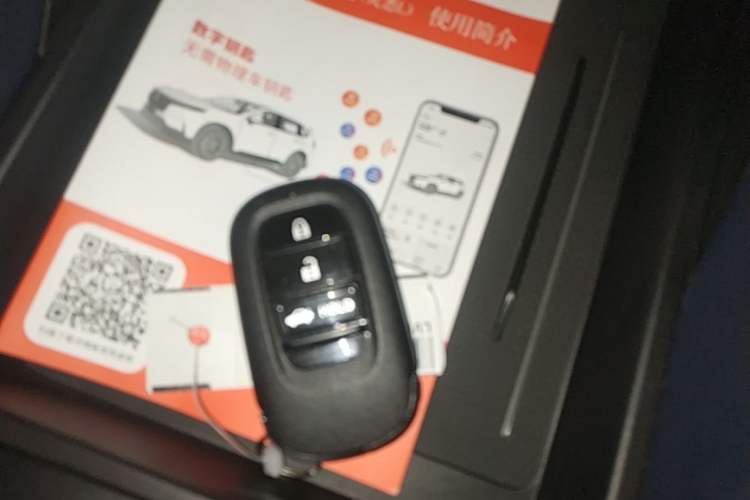 Used Lingxi L 2024 Player No. 1 Edition Interior 1