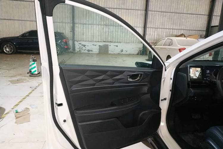 Used Lingxi L 2024 Player No. 1 Edition Left Front Door Interior