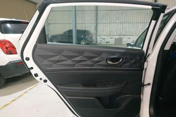 Used Lingxi L 2024 Player No. 1 Edition Left Rear Door Interior