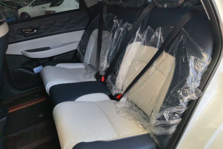 Used Lingxi L 2024 Player No. 1 Edition Left Rear Seat