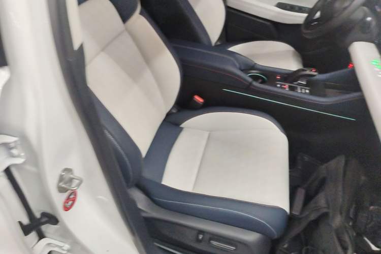Used Lingxi L 2024 Player No. 1 Edition Right Front Seat