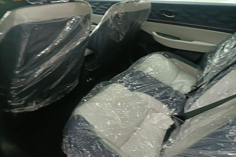 Used Lingxi L 2025 Model—Player No. 1 Plus Super Double-Up Optional Package Left Rear Seat