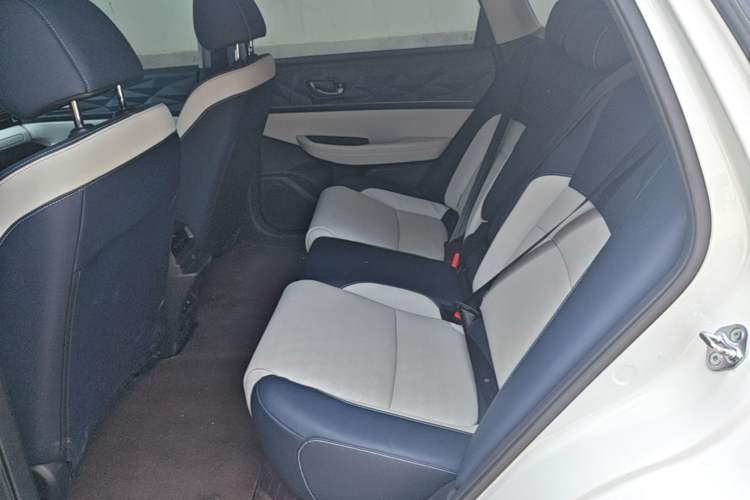 Used Lingxi L 2025 Model—Player No. 1 Plus Super Double-Up Optional Package Left Rear Seat
