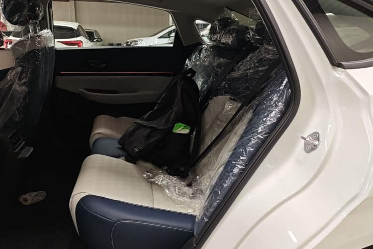 Used Lingxi L 2025 Model—Player No. 1 Plus Super Double-Up Optional Package Left Rear Seat