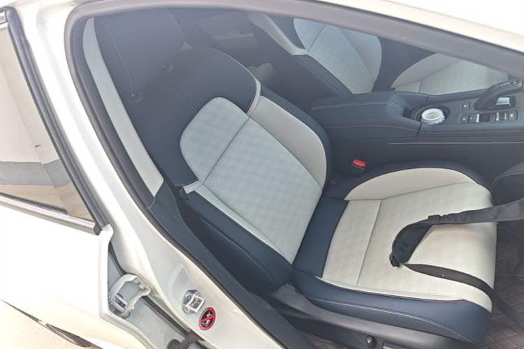 Used Lingxi L 2025 Model—Player No. 1 Plus Super Double-Up Optional Package Right Front Seat