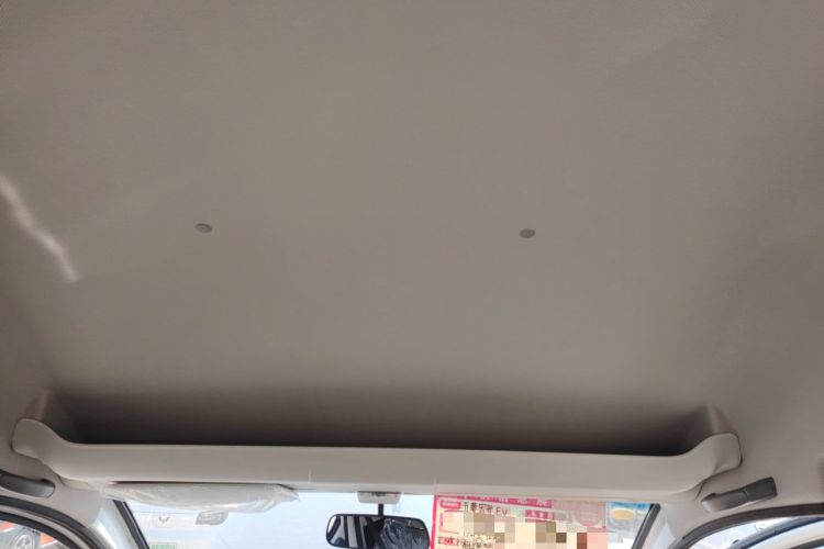 Used Linxys Huangjincang 2025 PULS Cargo Version First-Class Cabin Headliner