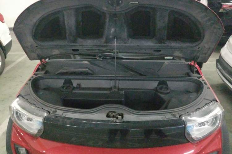 Used LITE 2017 Gravity Edition Engine Bay